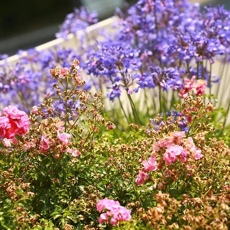 Izarpean Apartmán *